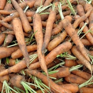 Wortels (per kg)